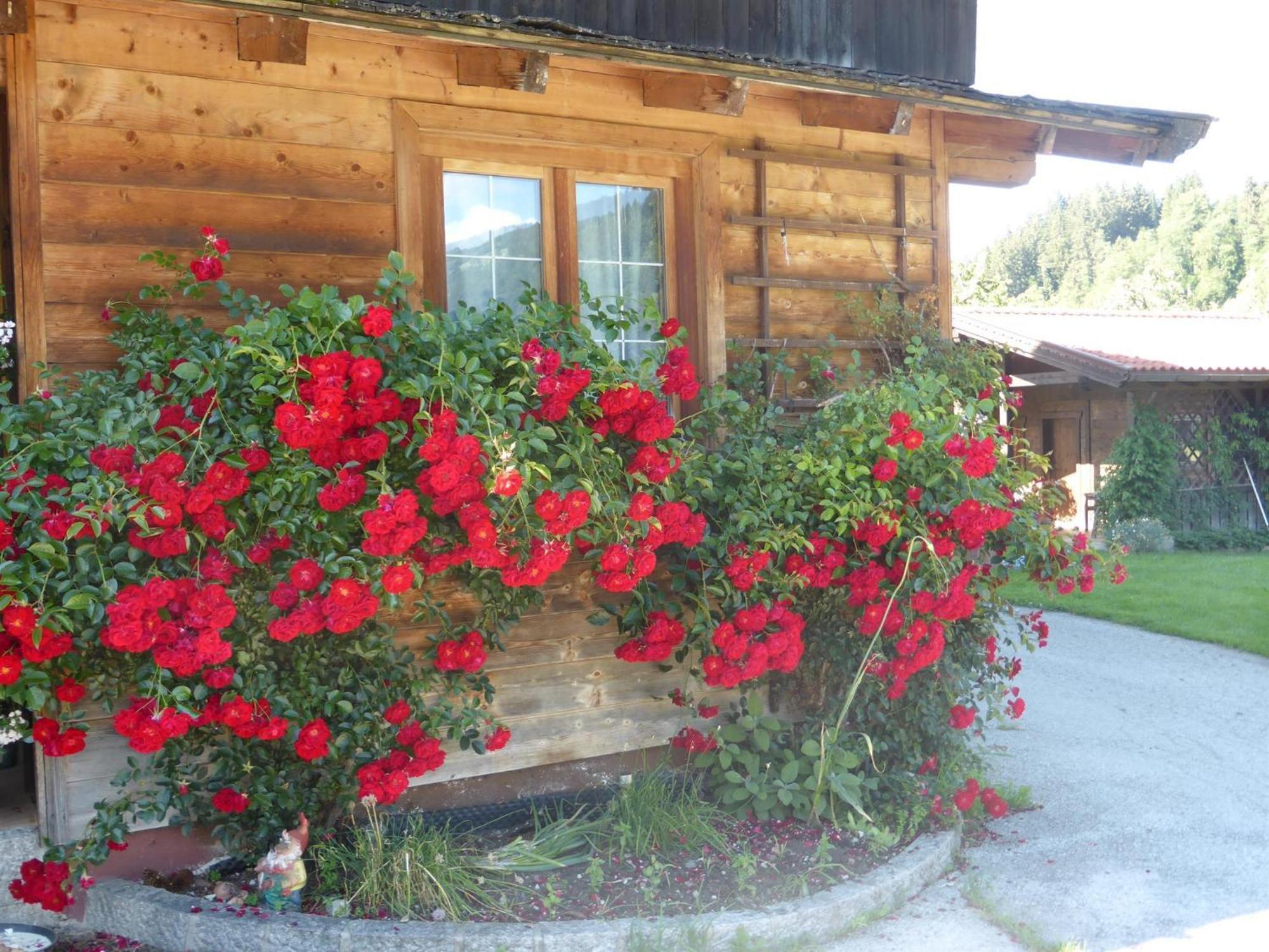 Pension Schwaighof Oberau Exterior foto