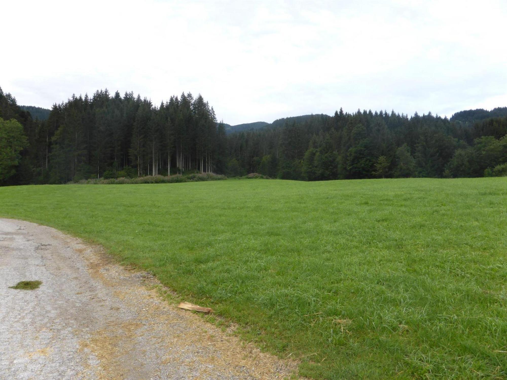 Pension Schwaighof Oberau Exterior foto